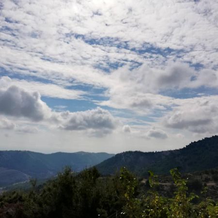 Kastro View Apartment Limenaria  Bagian luar foto